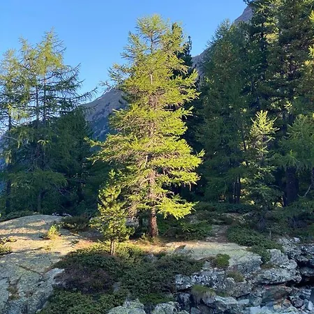 Distel Сasa de vacaciones Goms