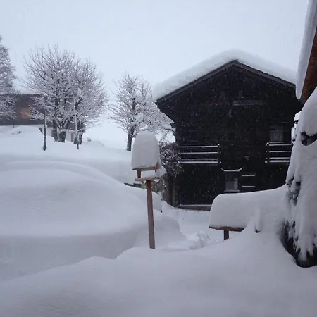 Holiday home Distel Goms