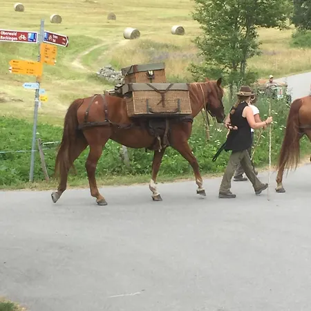 Distel Hébergement de vacances