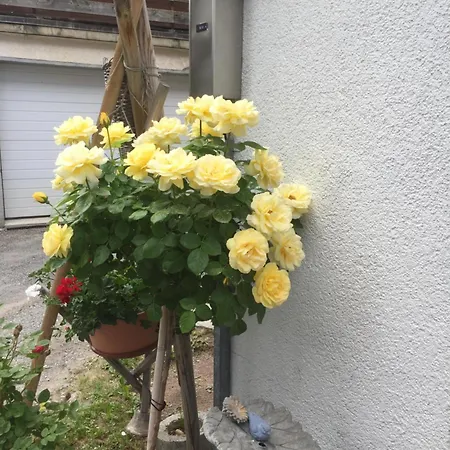 Distel Holiday home