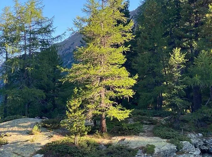 Distel Holiday home Goms