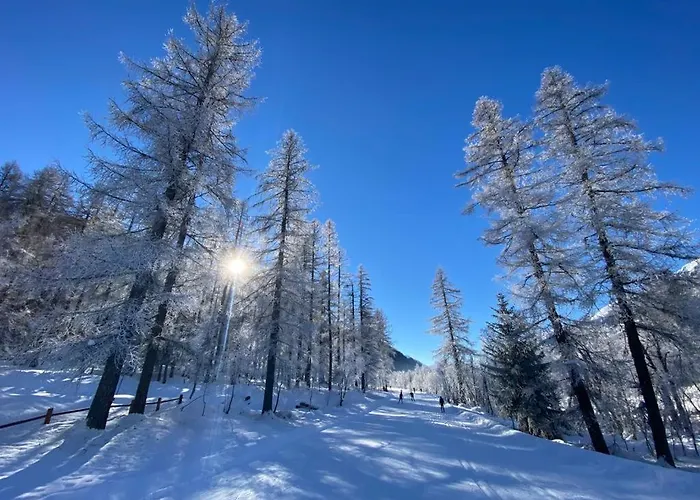 Hébergement de vacances Distel Goms