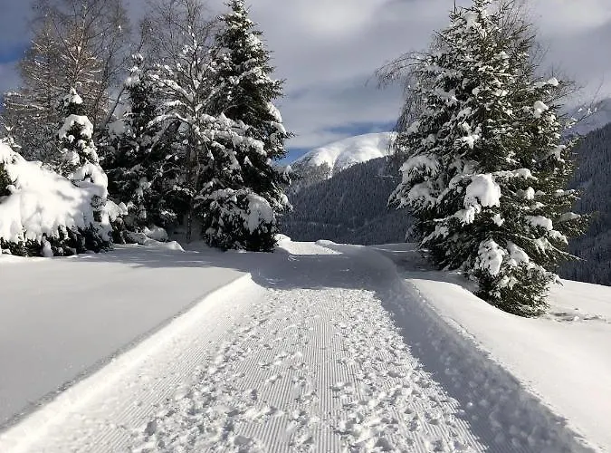 Distel Hébergement de vacances