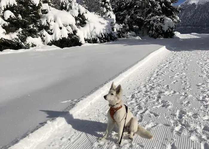 Holiday home Distel *