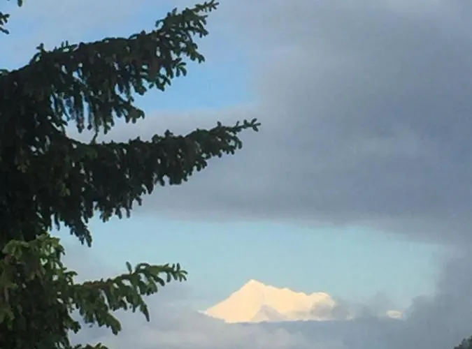 Holiday home Distel Goms