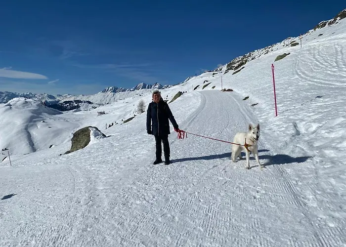 Distel Hébergement de vacances Goms