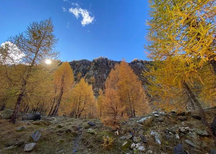 Hébergement de vacances Distel *
