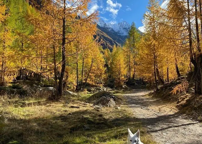 Distel Hébergement de vacances Goms