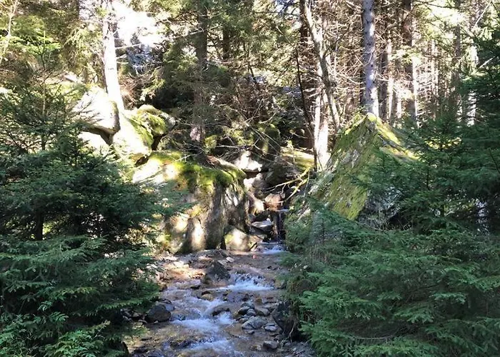 Distel Holiday home Goms