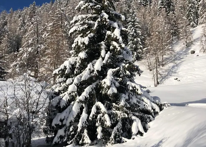 Distel Hébergement de vacances Goms