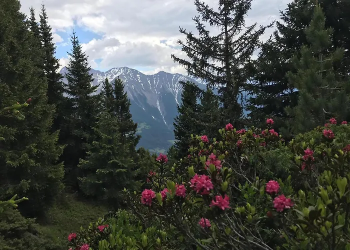 Hébergement de vacances Distel *