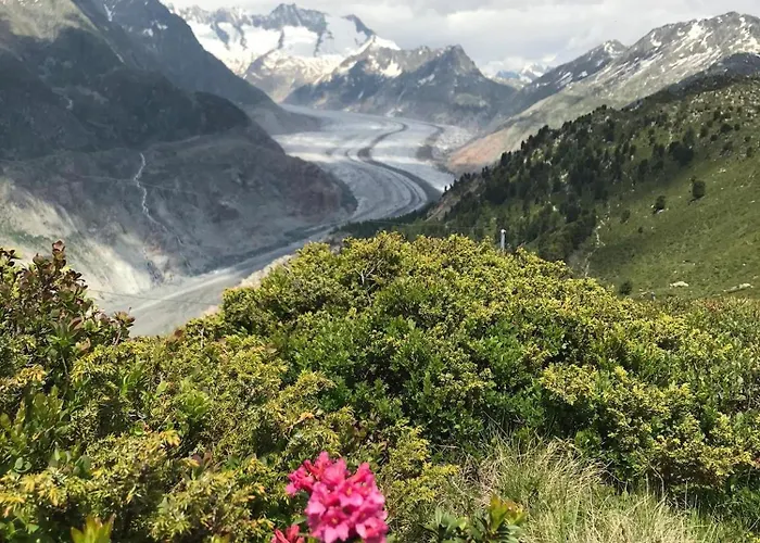 Hébergement de vacances Distel