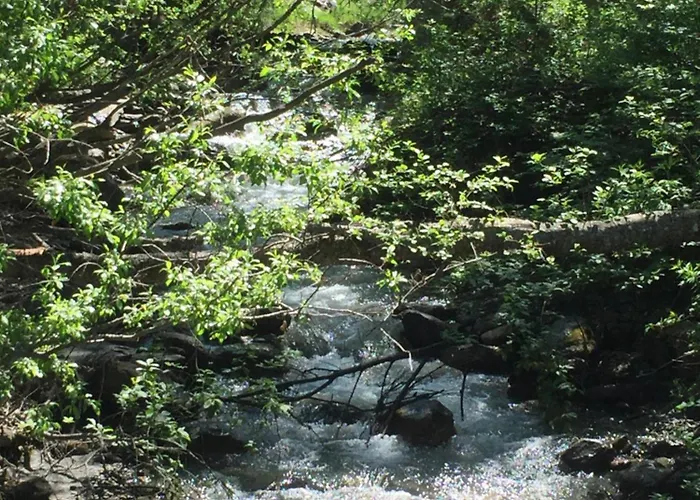 Holiday home Distel Goms