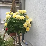 Distel Holiday home