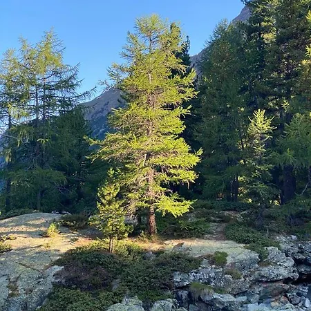 Distel Сasa de vacaciones Goms