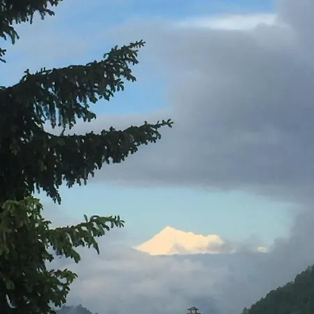 Сasa de vacaciones Distel Goms