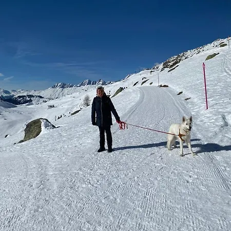 Distel Nyaraló Goms