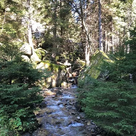 Distel Nyaraló Goms