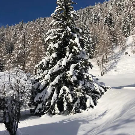 Distel Nyaraló Goms