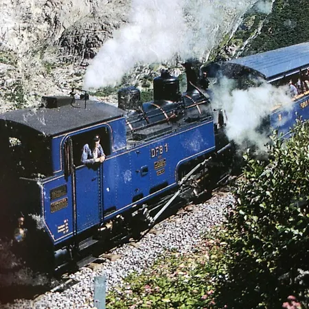 Nyaraló Distel Goms