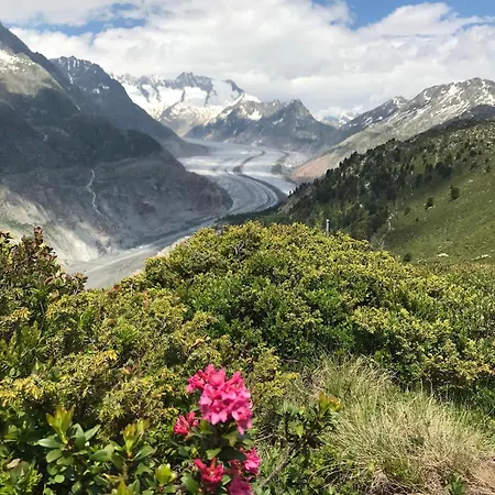 Сasa de vacaciones Distel