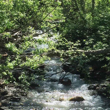 Nyaraló Distel Goms